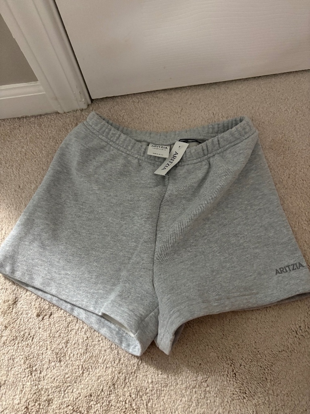 Aritiza sweatshorts